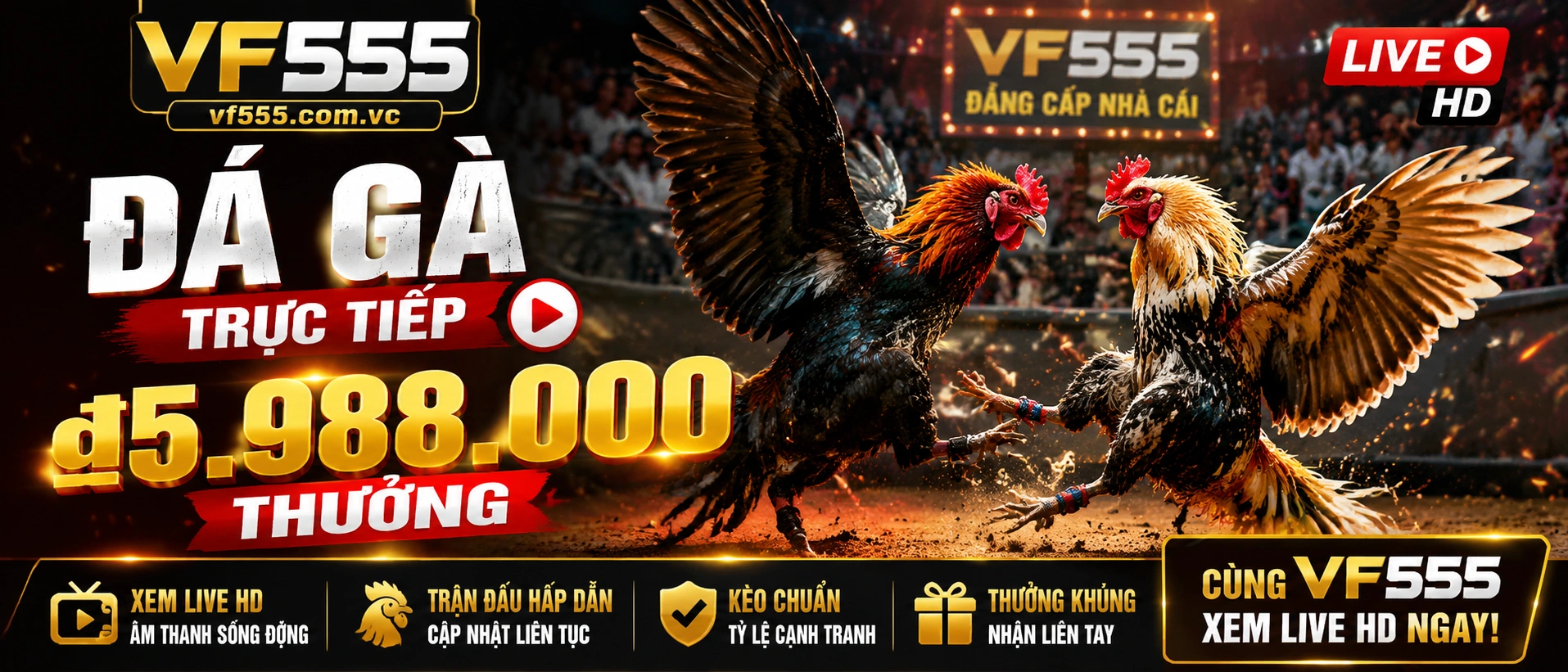 Banner Đá Gà vf555