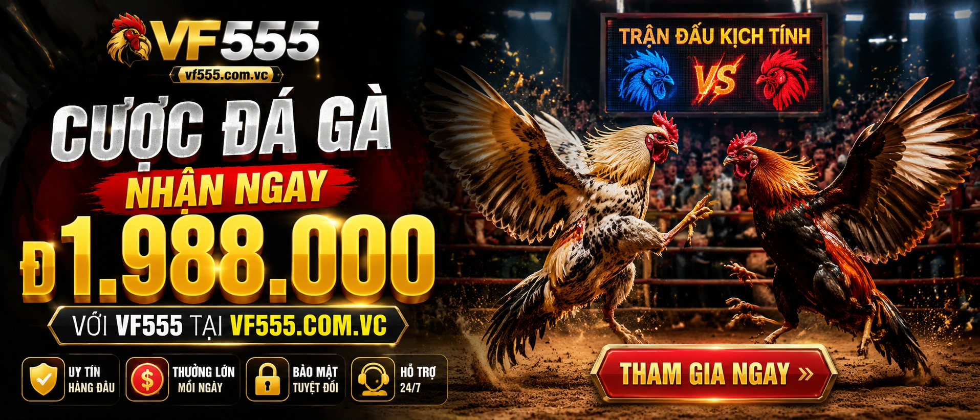 Phòng live Đá Gà vf555 2
