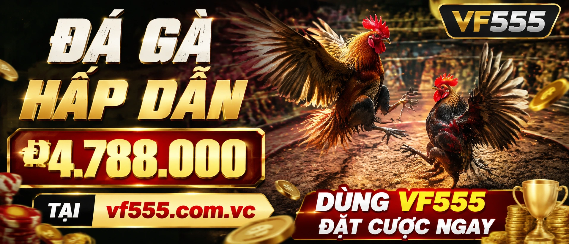 Phòng live Đá Gà vf555 3